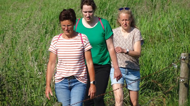 Singels en Essen wandeltocht (zondag 11 juni 2023)